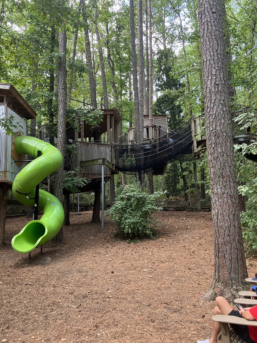 Secretary Reid Wilson tweet media