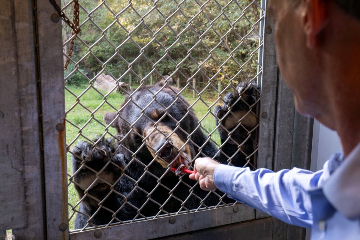 Secretary Reid Wilson tweet media