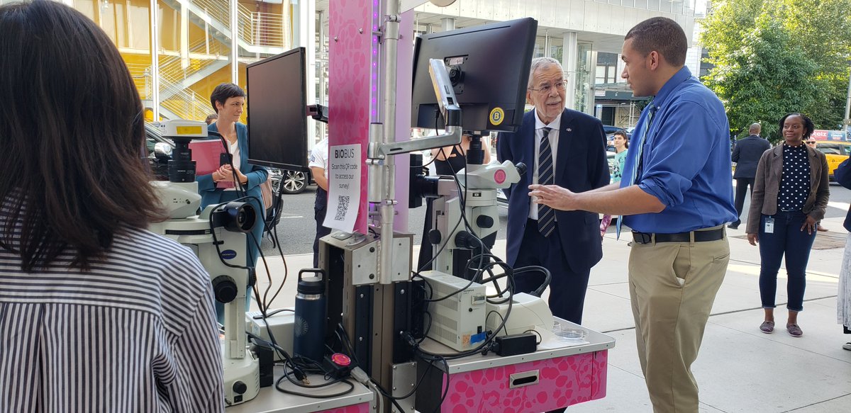 Christine Marizzi tweet media