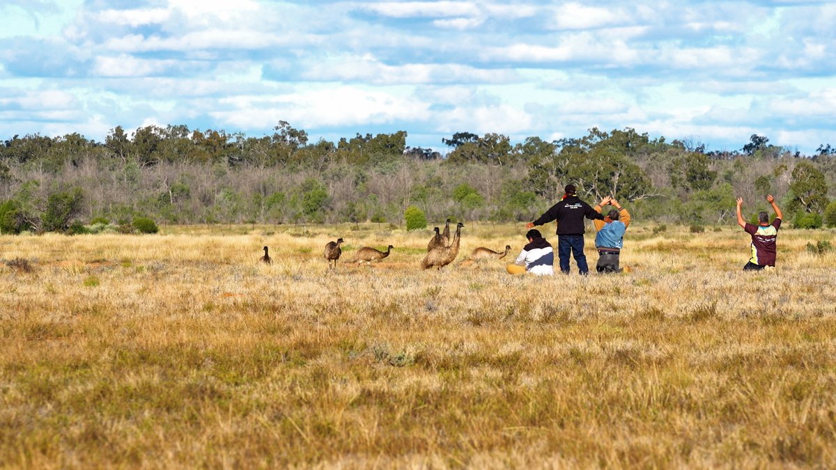 VeraHongTweets's tweet photo. Part 1 Dharriwaa #Narran Lakes, Living with Climate Change. Watch our📽️https://t.co/epXRdmumnD Thanks Yuwwalaray/Euahlayi and Gamillaroi Traditional Custodians; Worimi guests and a dedicated cultural science team #culturalwater #climateaction #ramsar #wetland https://t.co/f24S5OPNYO