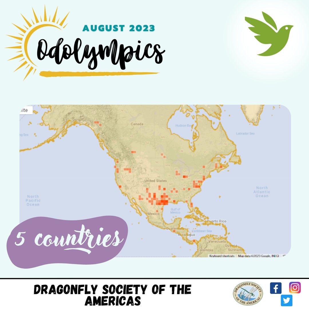 OdonataAmericas's tweet photo. Hey #Odolympics fellows! Here are the results from INaturalist!!!! We had over 3000 observations on this platform. Many thanks to the observers and also to the identifiers. Without them, we could not continue to record the diversity of #dragonflies in America. https://t.co/50iLftHxhz