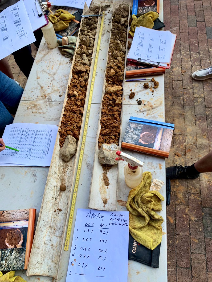 M.C. Ricker 🐲 tweet media