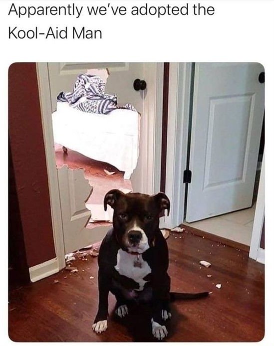 WholesomeMeme's tweet photo. https://t.co/fAbtMlgmxe