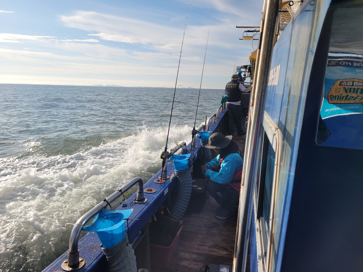 쭈꾸미가 다 어디로 갔나..