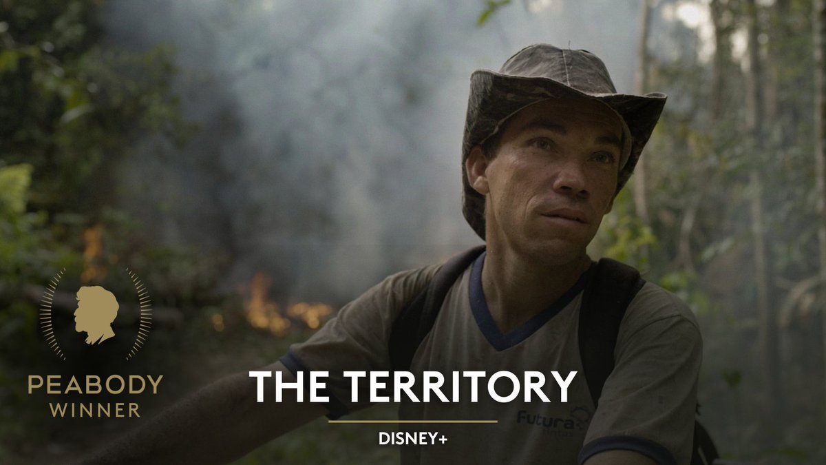 For uplifting the voices of Indigenous communities intent on safeguarding the Amazon forest, and for championing a committed vision of #ClimateChange activism that’s as urgent as it is necessary, 'The Territory' is a #PeabodyWinner. 🏆 peabodyawards.com/award-profile/… #ClimateActionNow