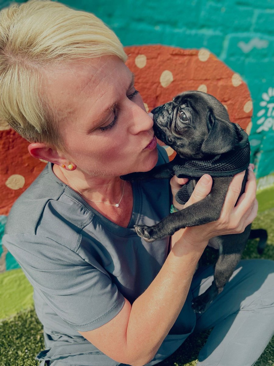 DFW Pug Rescue Club tweet media