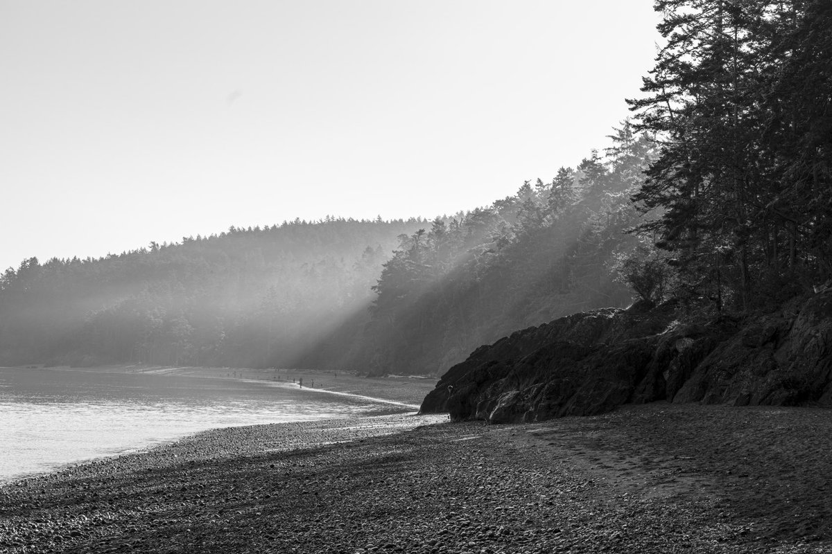 The Pacific Northwest. #PNW #PacificNorthWest #Pacific #Northwest #WA #WAWX #Washington #Hike #Hiking #Hikes #Water #DeceptionPass #Deception #Pass #WhidbeyIsland #Whidbey #Island #Beach #Fog #Sunrise #LightRays #GodRays #Photo #Photography #Pic 📸 fineartamerica.com/featured/the-p…