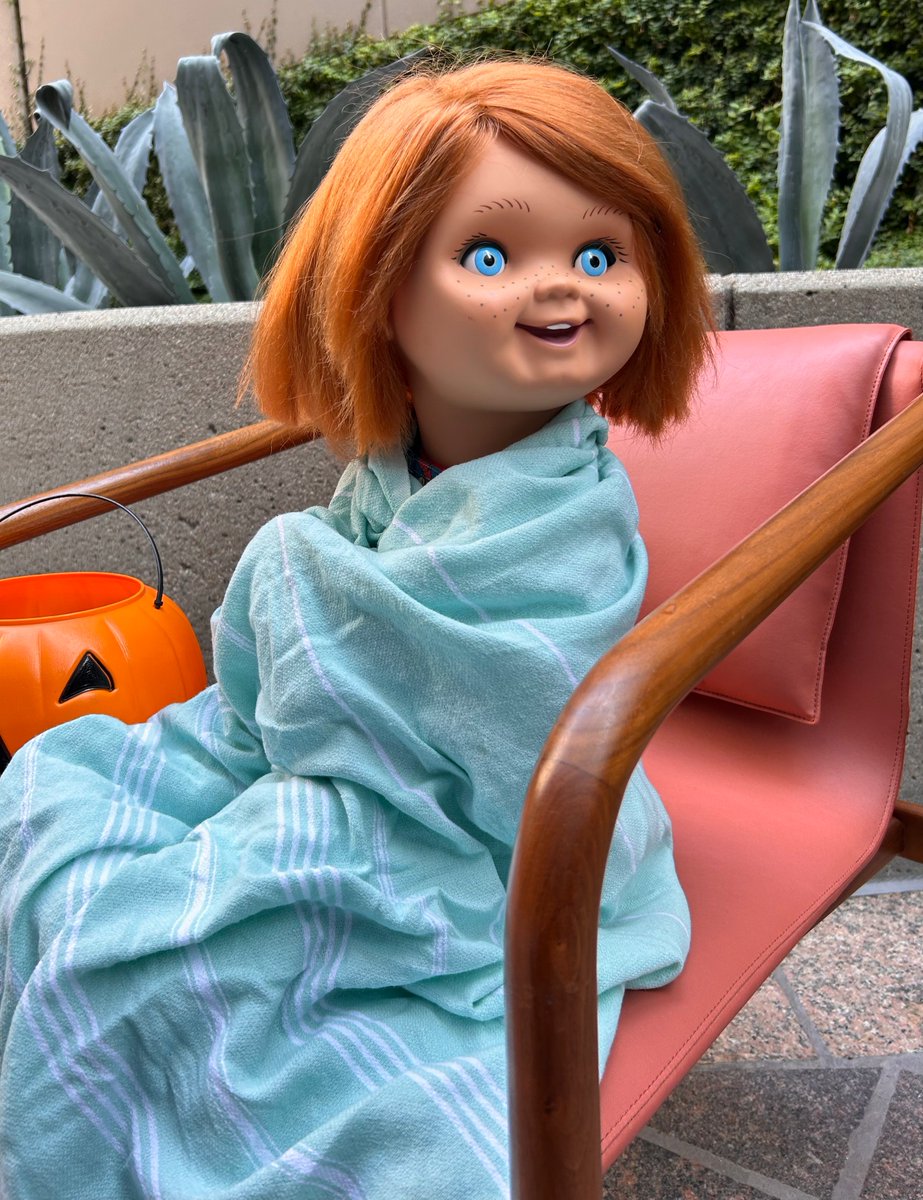 ChuckyIsReal's tweet photo. cozy vibes 4 the 1st day of fall https://t.co/26XqV1ilcH