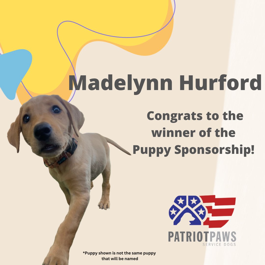 Patriot PAWS tweet media