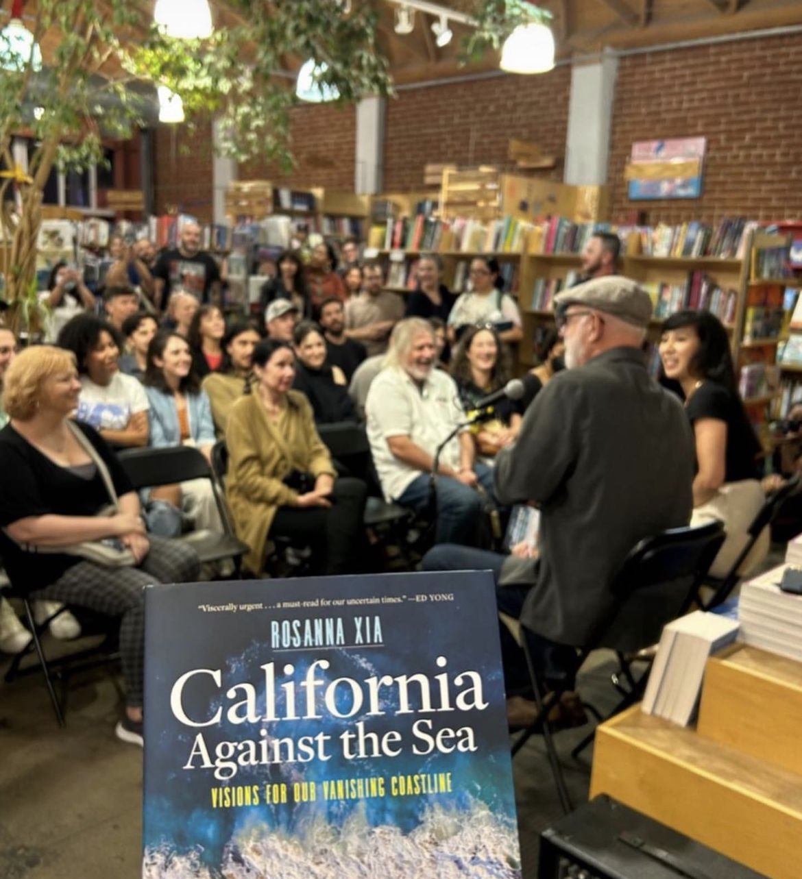 At Skylight: Rosanna Xia presents CALIFORNIA AGAINST THE SEA w