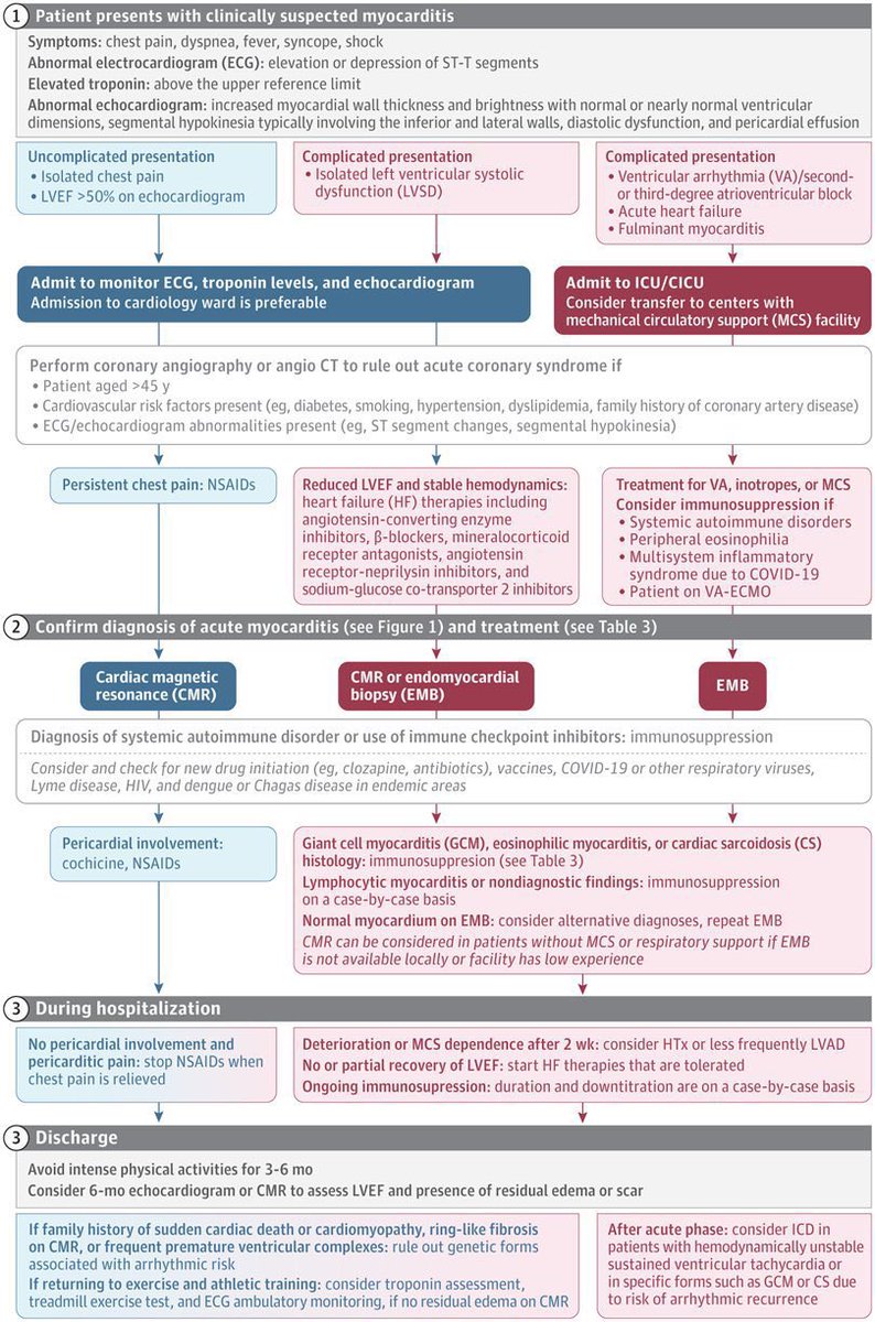 CardiacTrials's tweet photo. Myocarditis, Diagnosis and Treatment: a nice summary. 📚 JAMA 2023 ♥️ https://t.co/heY1jRcjOW