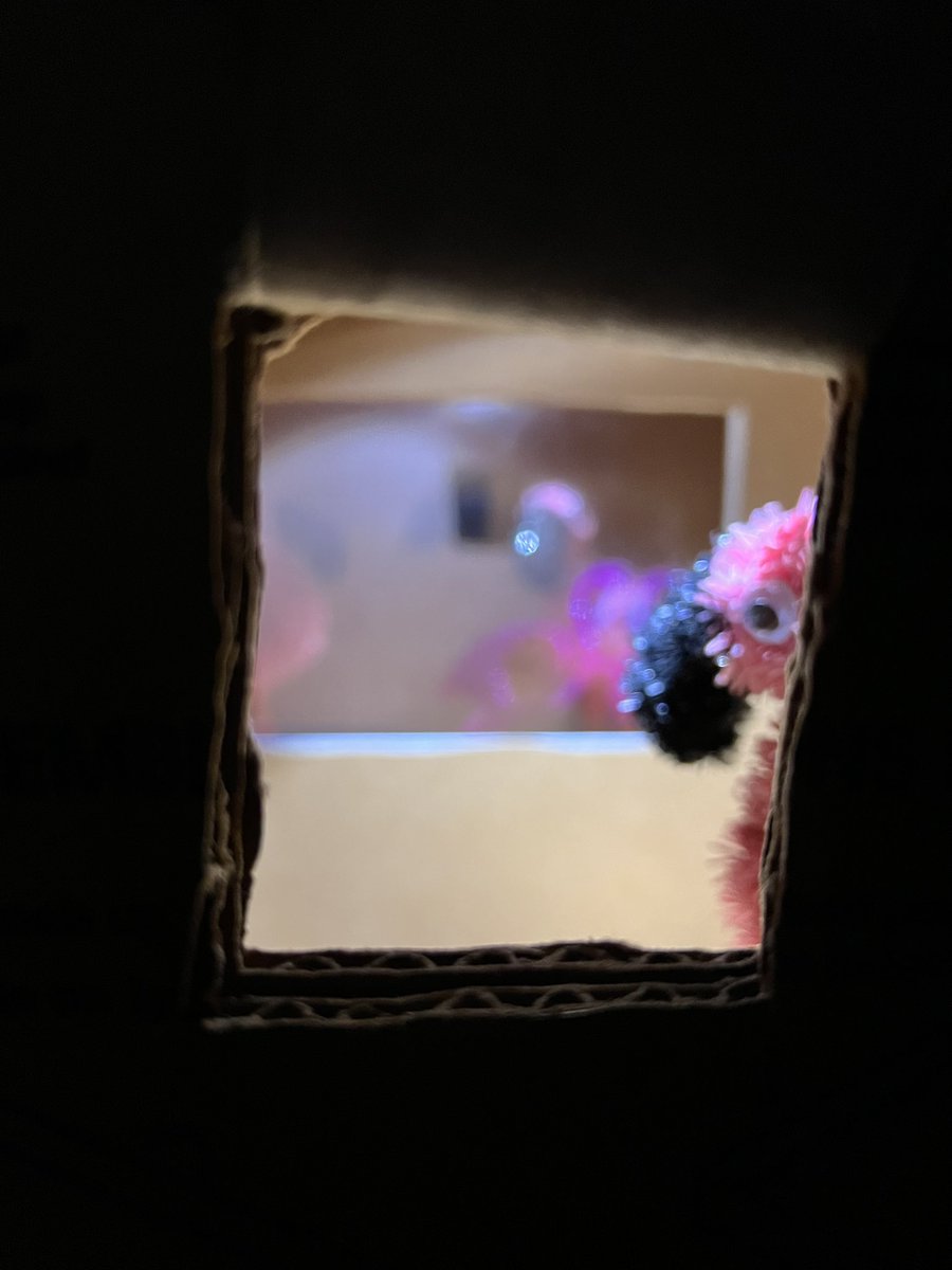 Dr. Sarah Ann Buckley tweet media