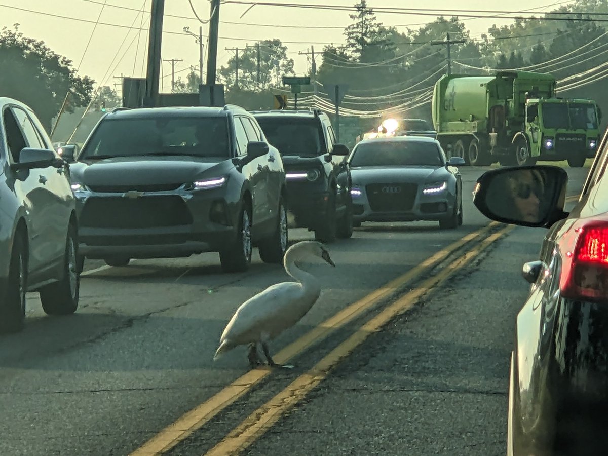 Samantha Keesling tweet media