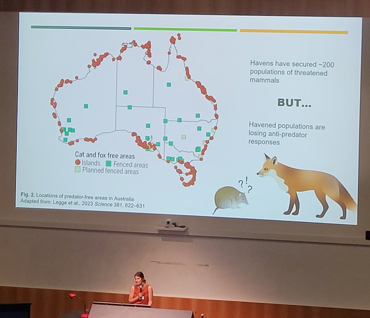 Dr Marissa Parrott (@drmparrott) on Twitter photo Awesome work by Natasha Harrison at #ams2023 investigating antipredator responses in haven & non-haven animals. Australia relies on havens to save species from introduced predators (especially cats & foxes), but we can do more <a href="/AusMammals/">The Australian Mammal Society</a> Awesome work by Natasha Harrison at #ams2023 investigating antipredator responses in haven & non-haven animals. Australia relies on havens to save species from introduced predators (especially cats & foxes), but we can do more <a href="/AusMammals/">The Australian Mammal Society</a>
