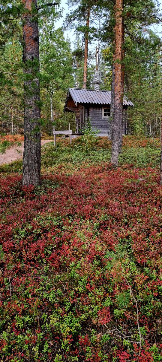 MaipuMaire's tweet photo. @PHatunen Tämä 22.9.2022 oli mulle JUHLAPÄIVÄ🌹🌹🌹🌹🌹#PuoliVuosikymmen
#Hki #suku
#Suur-#Saimaa #Ilkonsaari #ruska🍃🍁🎨🍂🛥🌊 @IrmeliKaija @IamHula @TiinaAiraksinen @annelitiainen1 @AnnukkaMeronen @ArnkilKatriina @jniemi37 @JohannaKukka @kallio2017 @kolmetoivetta https://t.co/Kohdu5mYMf