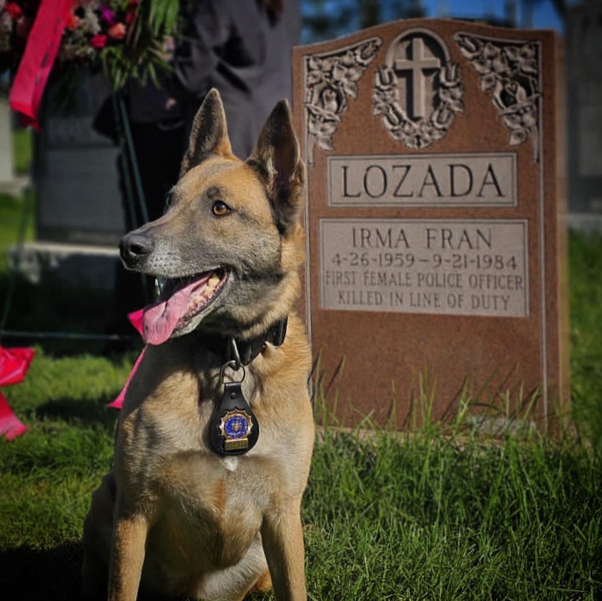 K9_Zada's tweet photo. 39 years ago Police Officer Irma Lozada was tragically taken from us. Her memory will continue to live on through Zada. We speak of her often, honor her everyday and we promise we will never forget 💙🙏🏼 Rest In Peace 🕊 https://t.co/r95hagKZPP