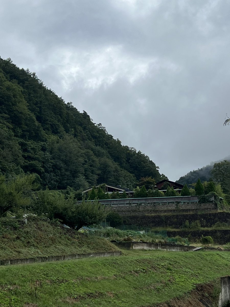 coachMJFischer's tweet photo. Nagano 🌲🌳🌲 https://t.co/FV1HyIiqnE