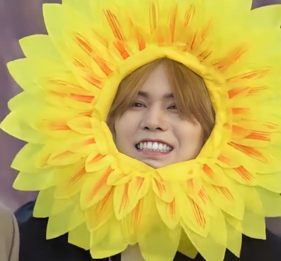 RockyGlobal's tweet photo. 🦦| ADMI

Por si no les han dado sus flores amarillas hoy aquí les traigo la mejor de todas, ahora luego de verla les pregunto.

¿Para qué quieren otra flor más hermosa que está? 🐺💛

Presuman su flor amarilla más linda♡

#ROCKY #PARKMINHYUK #라키 #박민혁 https://t.co/WraYbDYHtq
