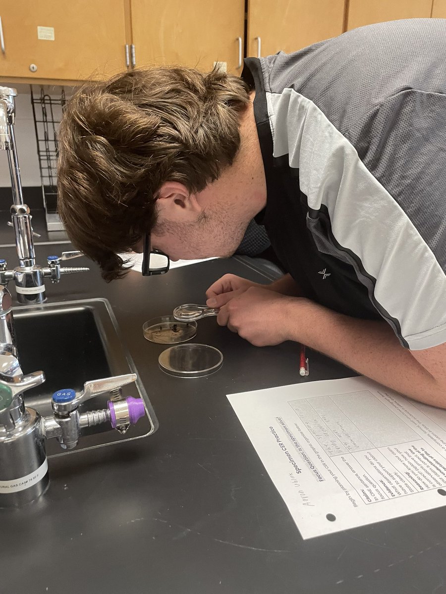 DisneySciNerd's tweet photo. BHS freshmen in Bio Honors were excited to observe Compost Critters for CERs and take home their “bean babies” to be used in their at-home experiments #bhsscience #barnegathighschool @barnegathighschool https://t.co/FjGnNyssjP