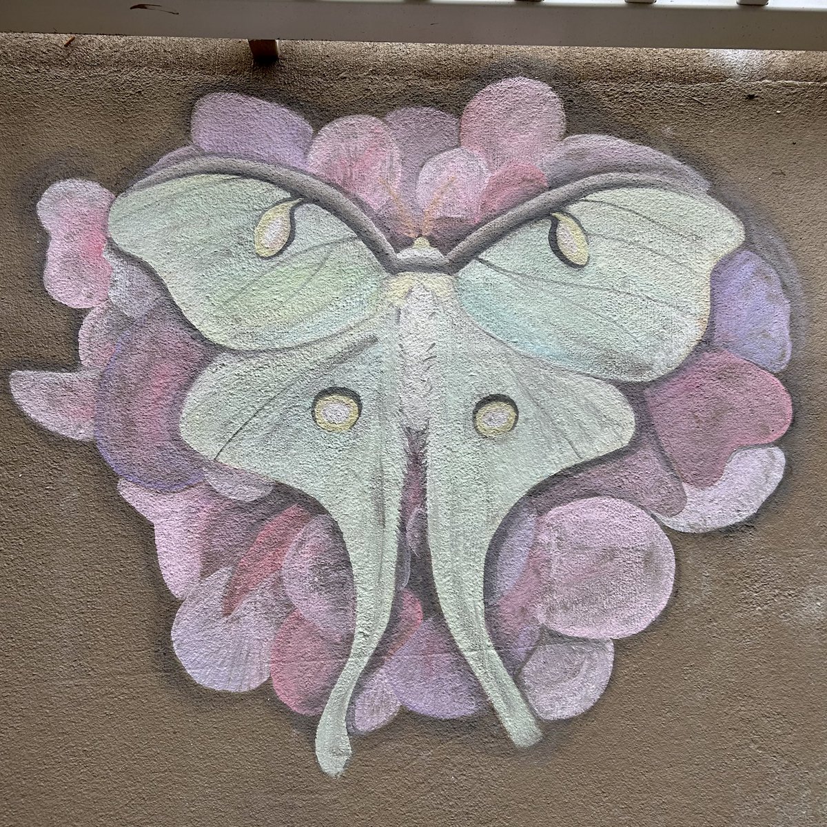 Last day of summer #sidewalkchalk