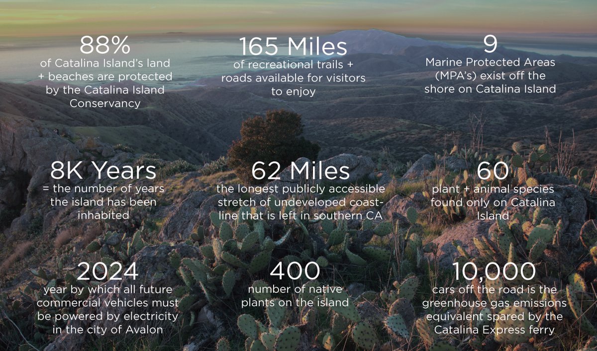 Love Catalina has partnered with <a href="/kindtraveler/">Kind Traveler</a>  and their "Every Stay Gives Back" program. 
Stays at The Avalon Hotel and Zane Grey Pueblo Hotel support the <a href="/CIConservancy/">Catalina Island Conservancy</a> and Catalina's Marine Mammal Care.
kindtraveler.com/content/catali…