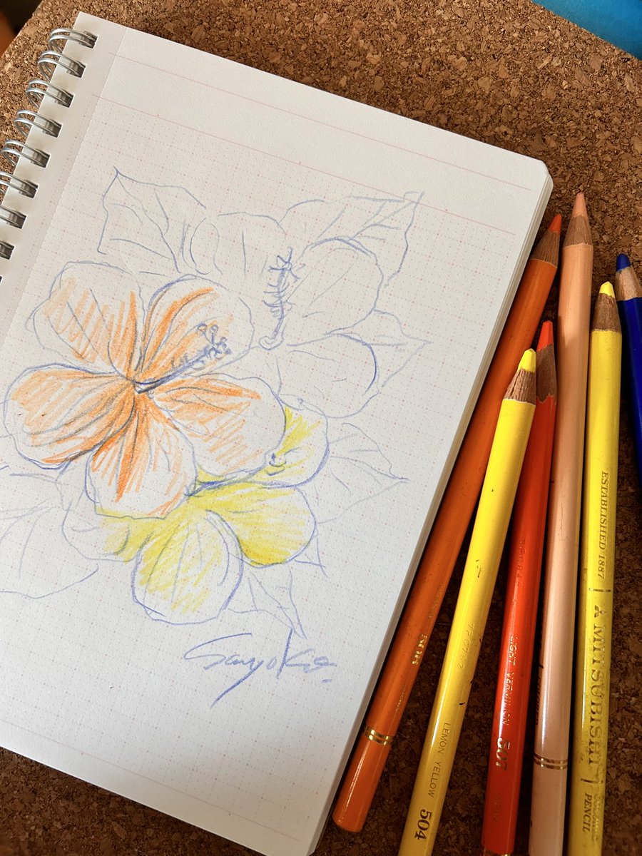 本日のバースデーフラワー、ハイビスカスを作りました。オレンジ色はこれまでに作ったことのない色です。何回作っても花芯は難しいです。ハイビスカスは🇺🇸ハワイ州の州花、マレーシア🇲🇾の国花で人気の花です。
#paperflowers #papercraft #hibiscus #quillingart #handmade