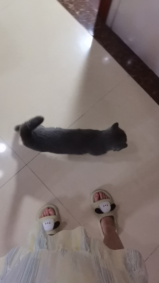 你真的很自来熟 https://t.co/UWOIg6wEWP