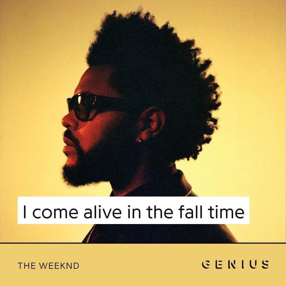 cuteassabelxo's tweet photo. 🍂 https://t.co/CXcKtpKBjU