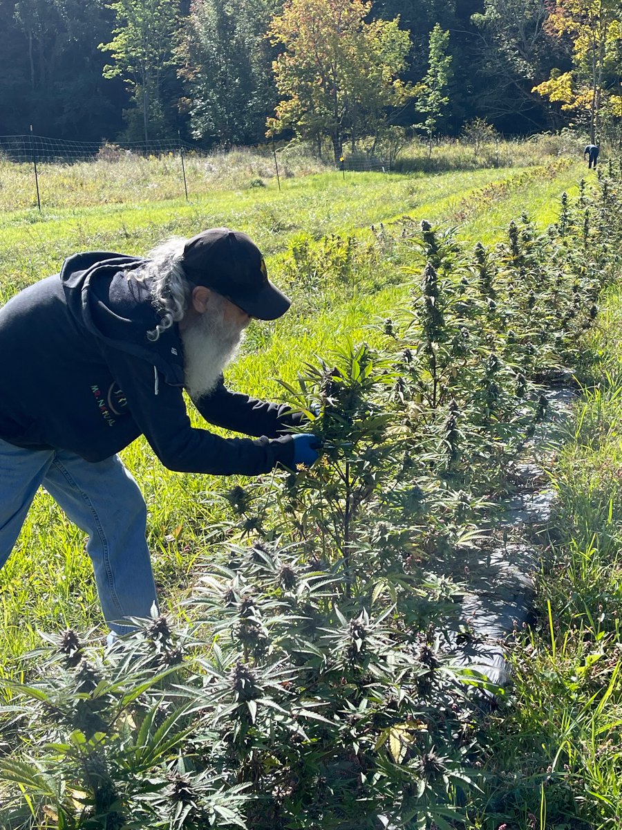 Terry Booth tweet media