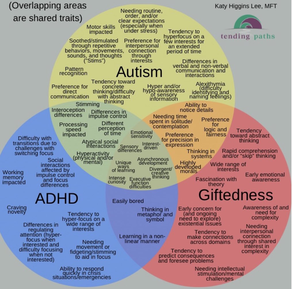 I think sometimes we forget (or never knew) the overlapping traits between Autism, ADHD, and Giftedness. Some of our students even have two of these exceptionalities and are referred to as Twice Exceptional (or 2E). Both of my sons are 2E. Please take a minute to read about it…