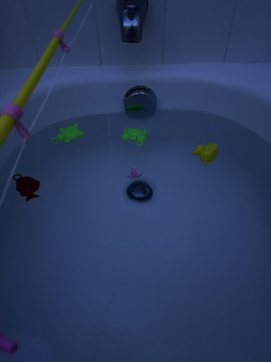 Betas_Inferno's tweet photo. If I’m ever in my bathroom without the lights on at night fishing… just know I’m contemplating big decisions 😔 https://t.co/MWnexPvwal