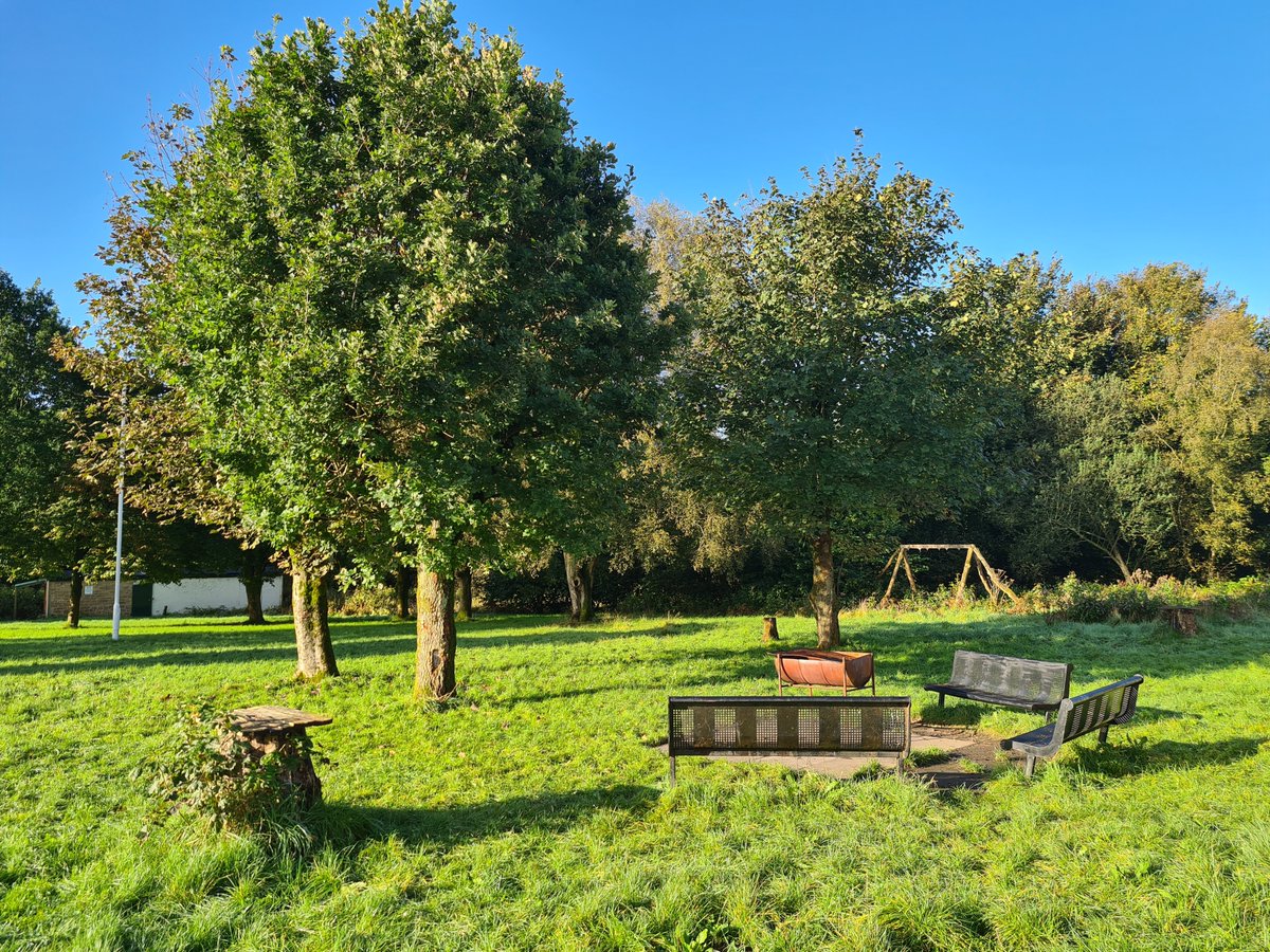 Day 2 of our Outdoor First Aid training.

What a  beautiful location to learn all things CPR, trips, sprains, illness and woodland rescue.  

Unlikely to happen, our sessions involve a gentle stroll and resting in nature, but it's reassuring to be able to manage the unexpected.