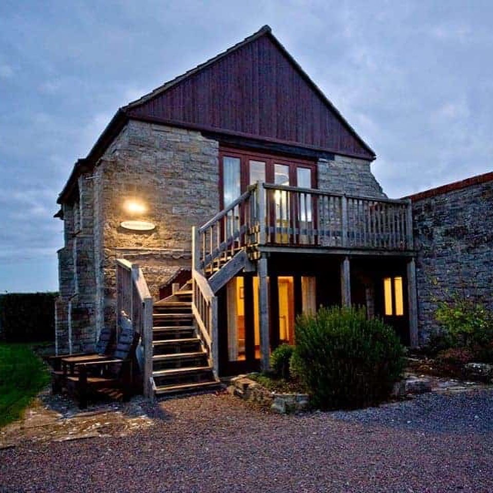 Dotty4Paws tweet media