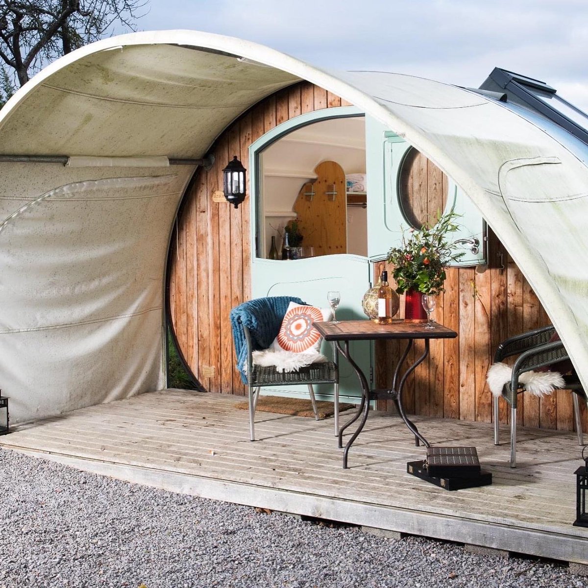 Dotty4Paws tweet media