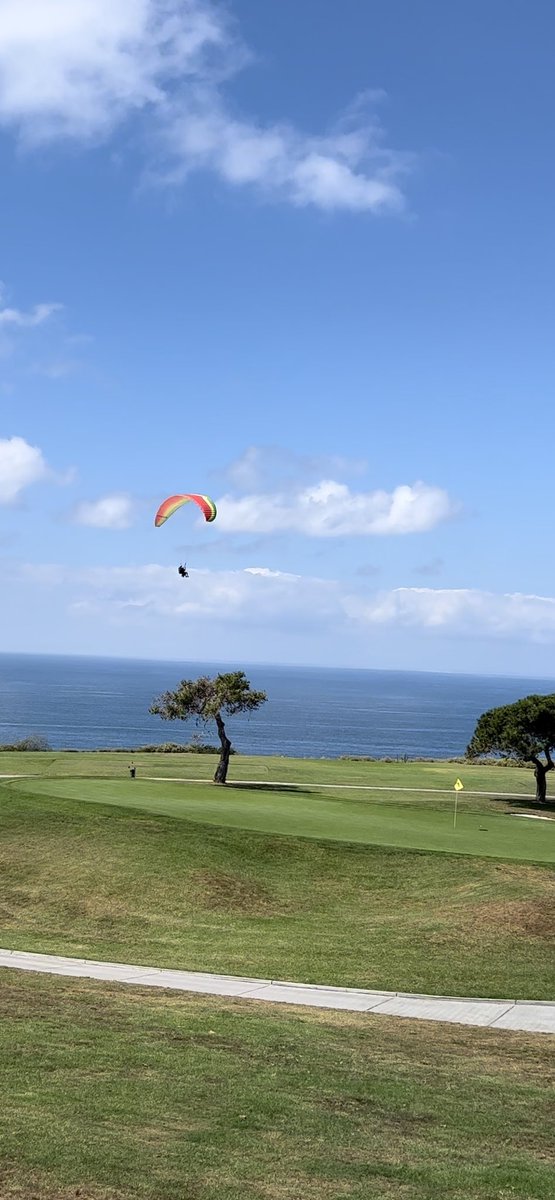 Torrey Pines backyard. #southcourse #california #tarter
