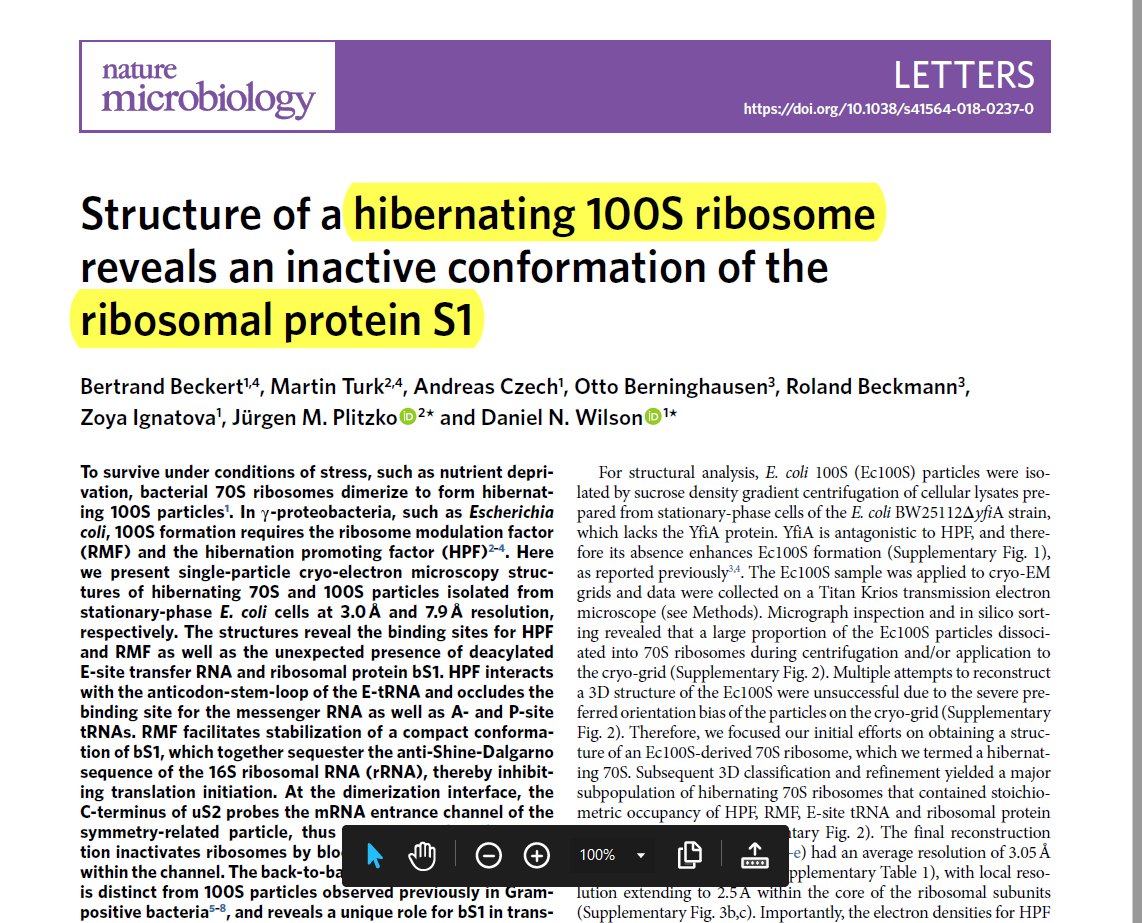 @lauraoh1231
Idea: Does RNAylation by T4 phage ModB at S1 prevent ribosome dimerization (100S ribosomes) so that the cell does not ‘sleep’ during T4 infection? S1 has been shown to be important in 100S ribosomes so RNAylation would prevent its role in ribosome inactivation.