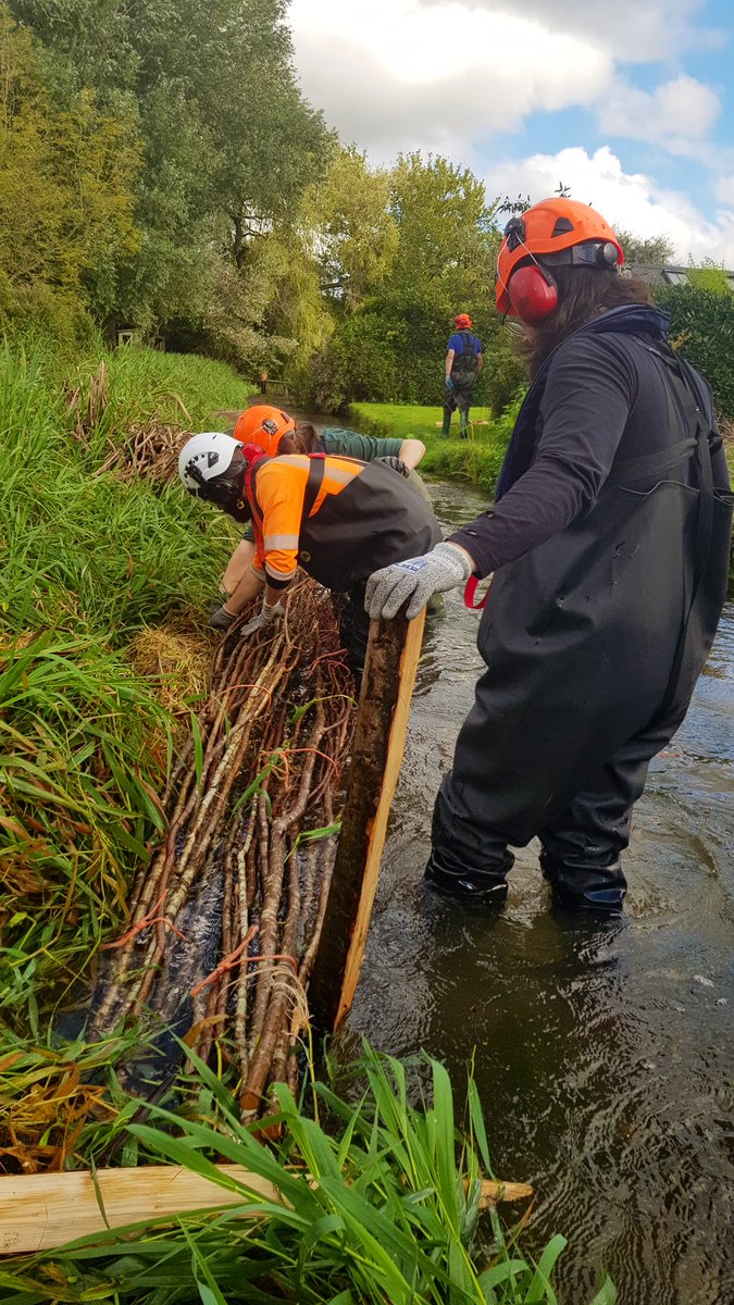 Volunteers helping re-naturalise a canalised section of the Pillhill Brook headwater chalk stream 💪🏻

@WessexRivers with @HantsIWWildlife 
#WatercressAndWinterbournes #ChalkStream