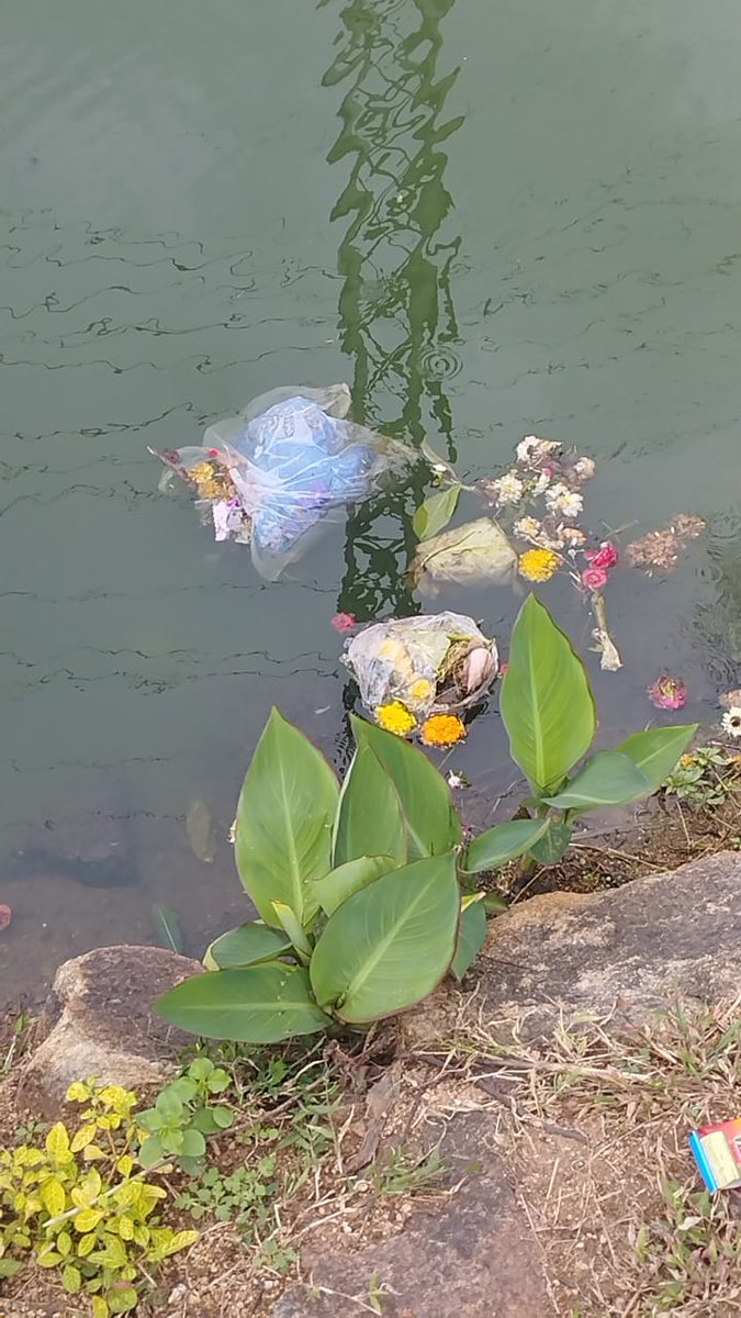 madhulikaS2's tweet photo. Dear Hyd-Need ur support.Neknampur lake immersion pond is quite big &amp; well https://t.co/gjCNenGkow use it for idol immersion .Pl PROHIBIT using Mushki Cheruvu for idol immersion.Lake is under Restoration &amp;need ur support to protect it.Lets Respect our Lake &amp; our Religion. https://t.co/ZdkDZ8okSF
