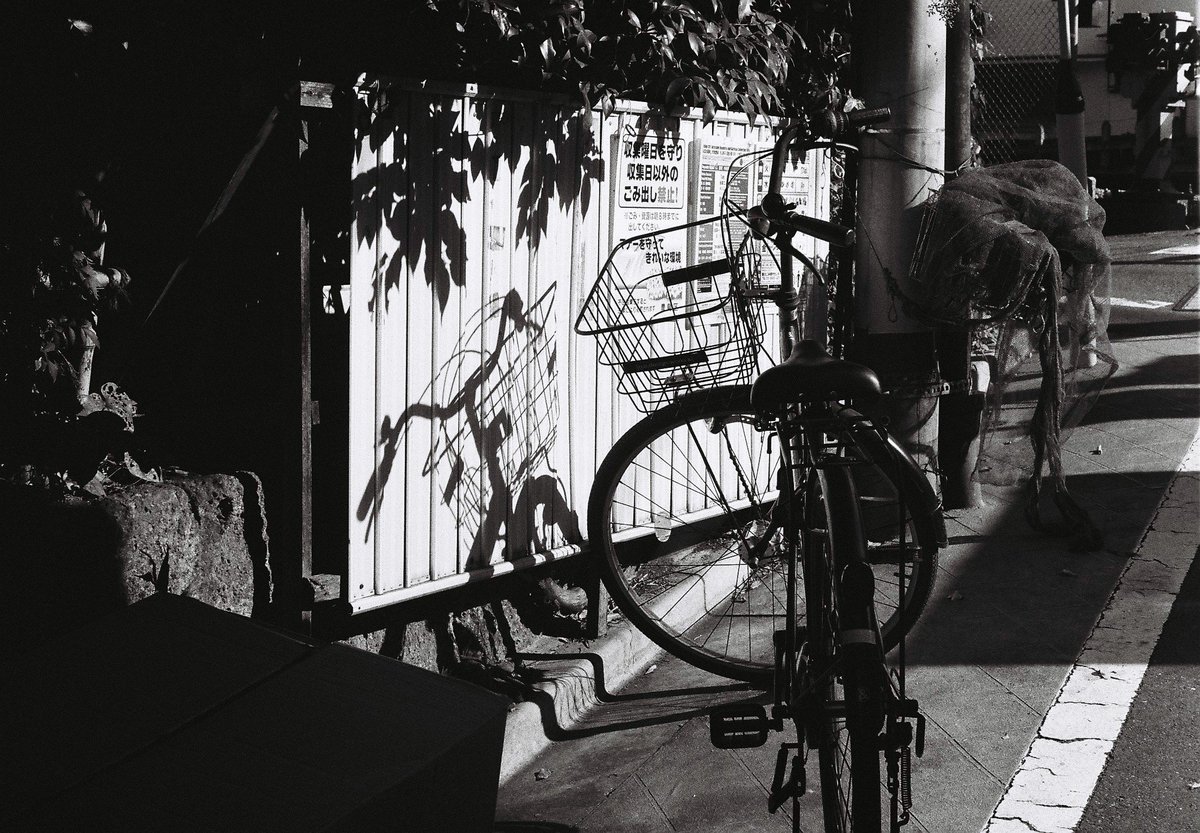 rifeng9's tweet photo. 初めての白黒フィルム https://t.co/yZX6OrCBO5