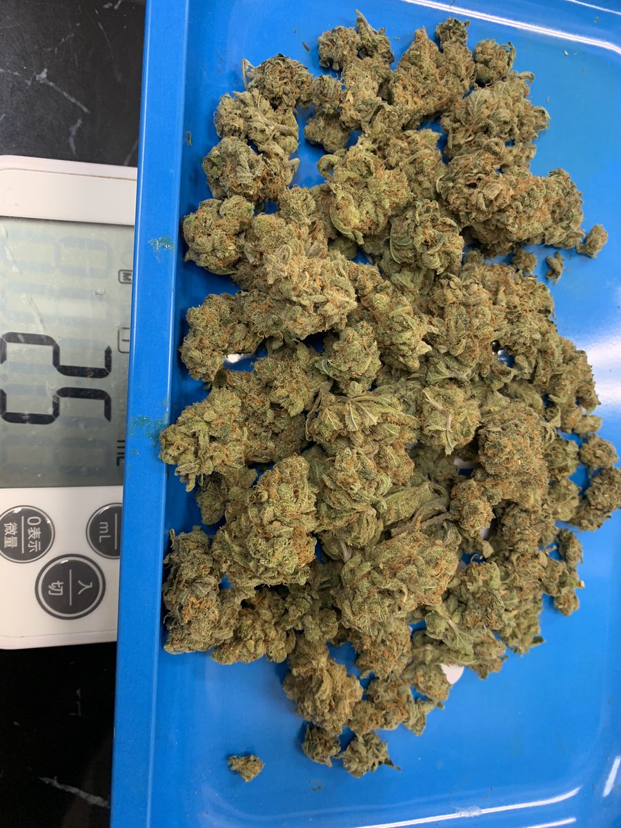 Satsuma_sokai's tweet image. にょーーーー