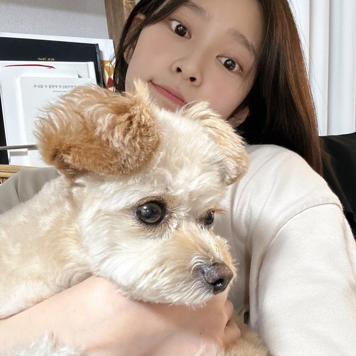 금비 아카이브 tweet media