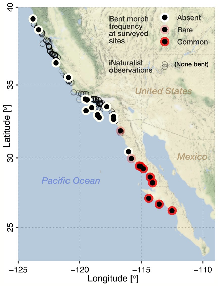 Rodrigo Beas tweet media