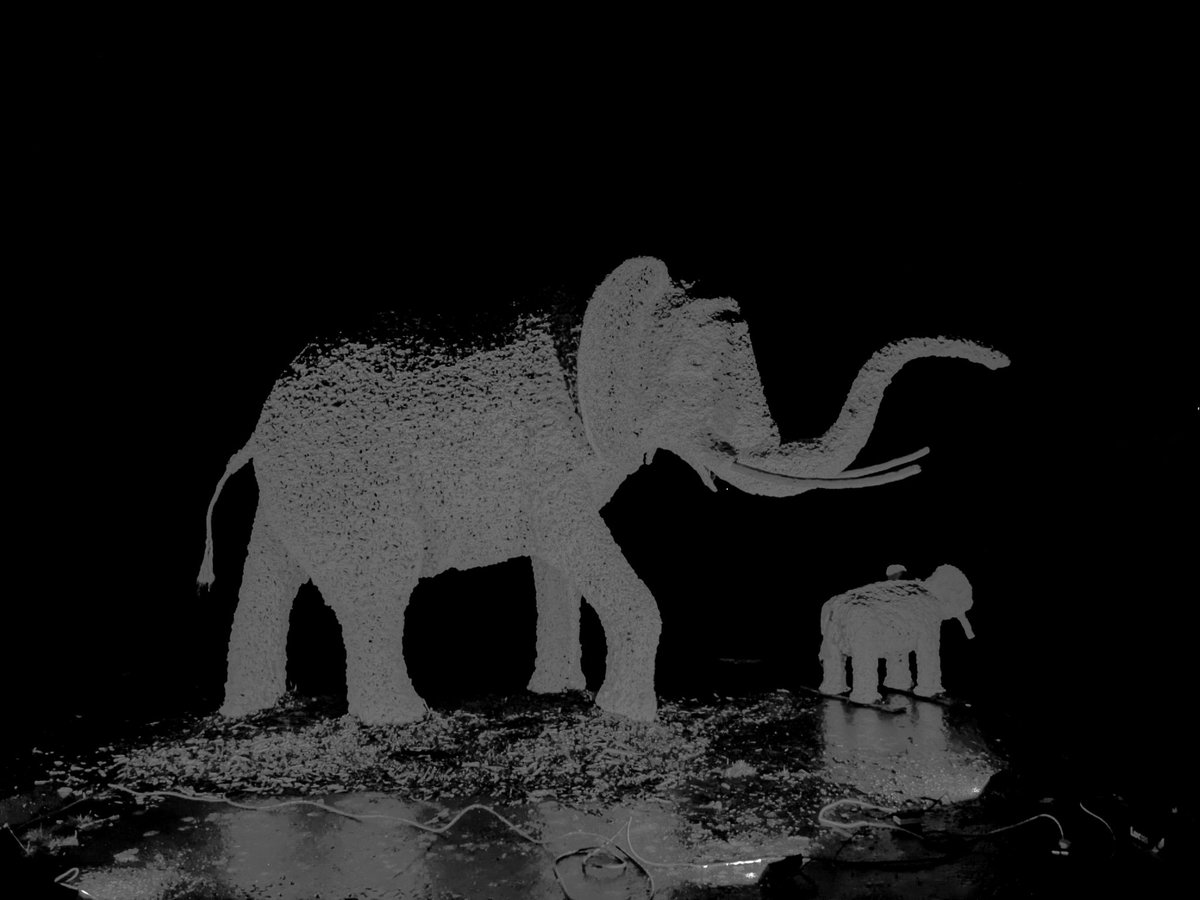 African elephant seen at night in Co Donegal
<a href="/ArtlinkBuncrana/">Artlink</a> <a href="/fortdunree/">Fort Dunree</a> <a href="/bbcniweather/">BBC NI Weather</a> <a href="/BBCRadioFoyle/">BBC Radio Foyle</a>