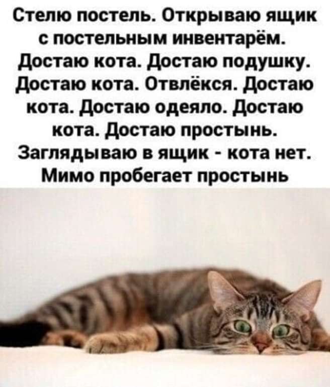 Piol (@pritulatan) on Twitter photo 