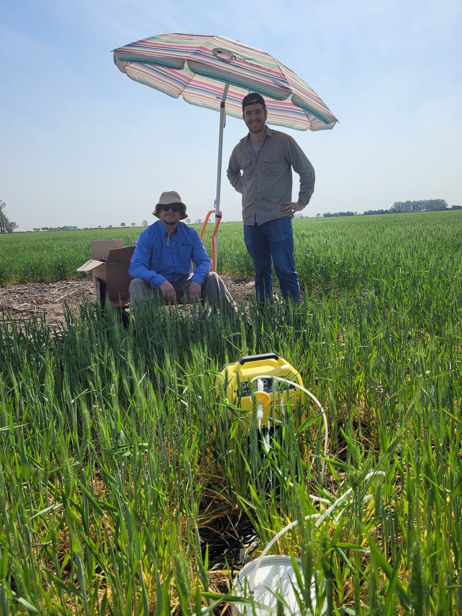 MartineliAline's tweet photo. Beautiful photos of a day when almost everything screw up. It's the science! We learn with our mistakes and understand that we can't control everything.
#GHG #GHGemissions #agriculture https://t.co/PyxHu1eBxk