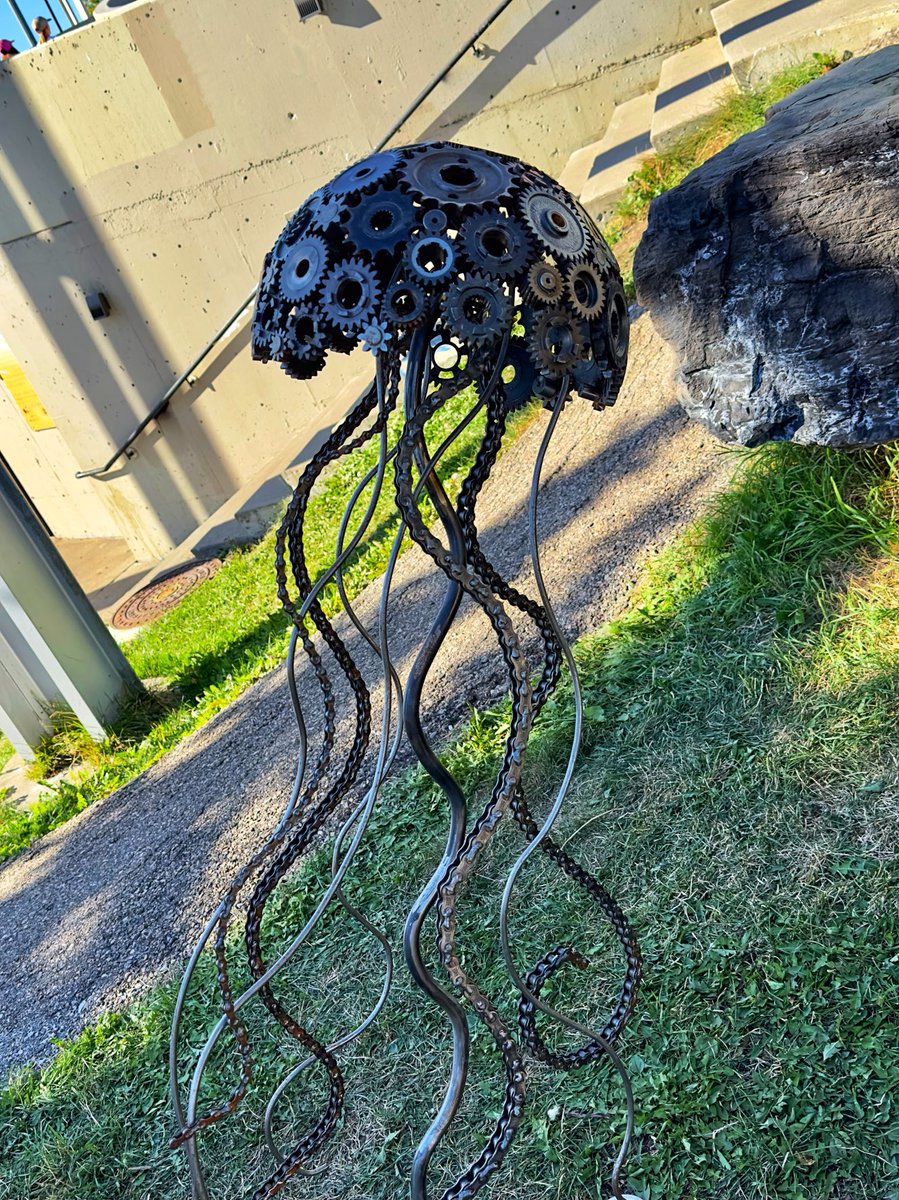 volatileRoss's tweet photo. Jellyfish 

530 pitch motorcycle chain, transmission and counter shaft gears
#Beakerhead https://t.co/APXrpeZllr