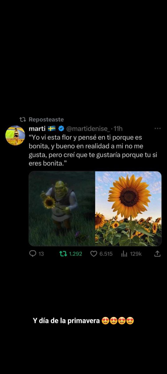 rodriiivsc45 tweet media