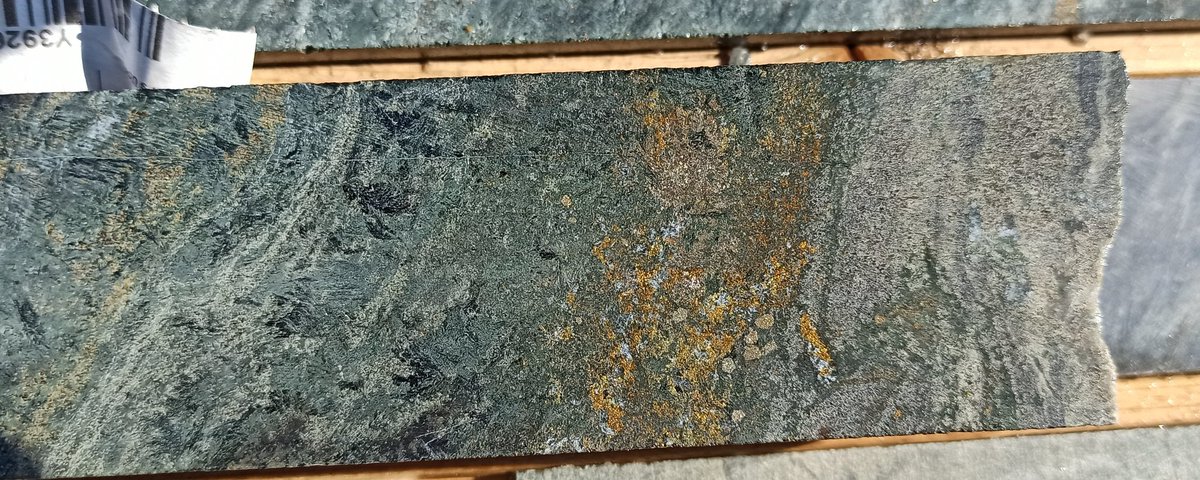 KMilierPhD's tweet photo. Spinifex Texture at contact with footwall rock from Grasset deposit, Abitibi Greenstone Belt #Spinifex #ultramafic #geology https://t.co/eqBOKcxo5E