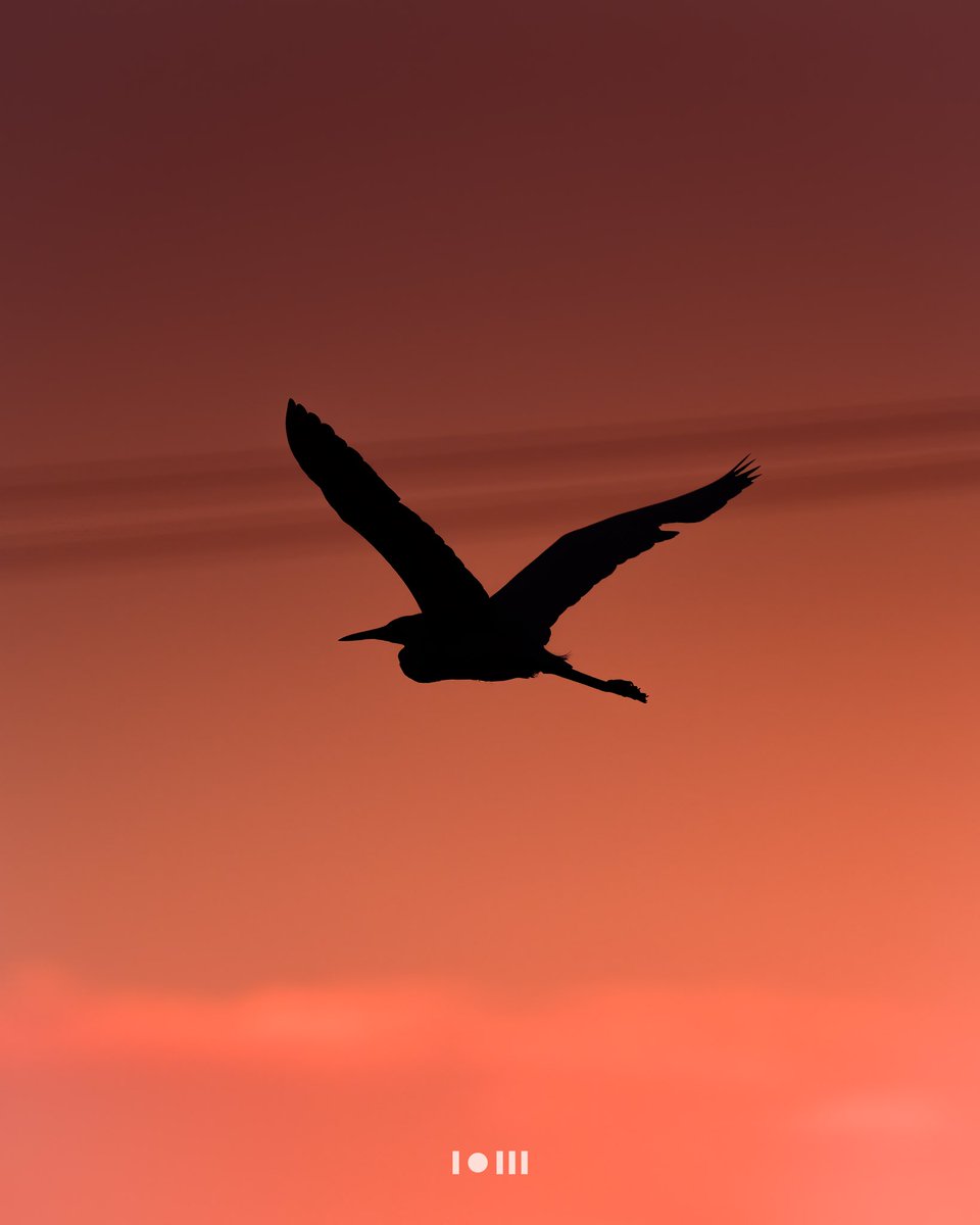 pixonoid's tweet photo. I’m a photographer and I took these photos https://t.co/cNJLL9gz0l