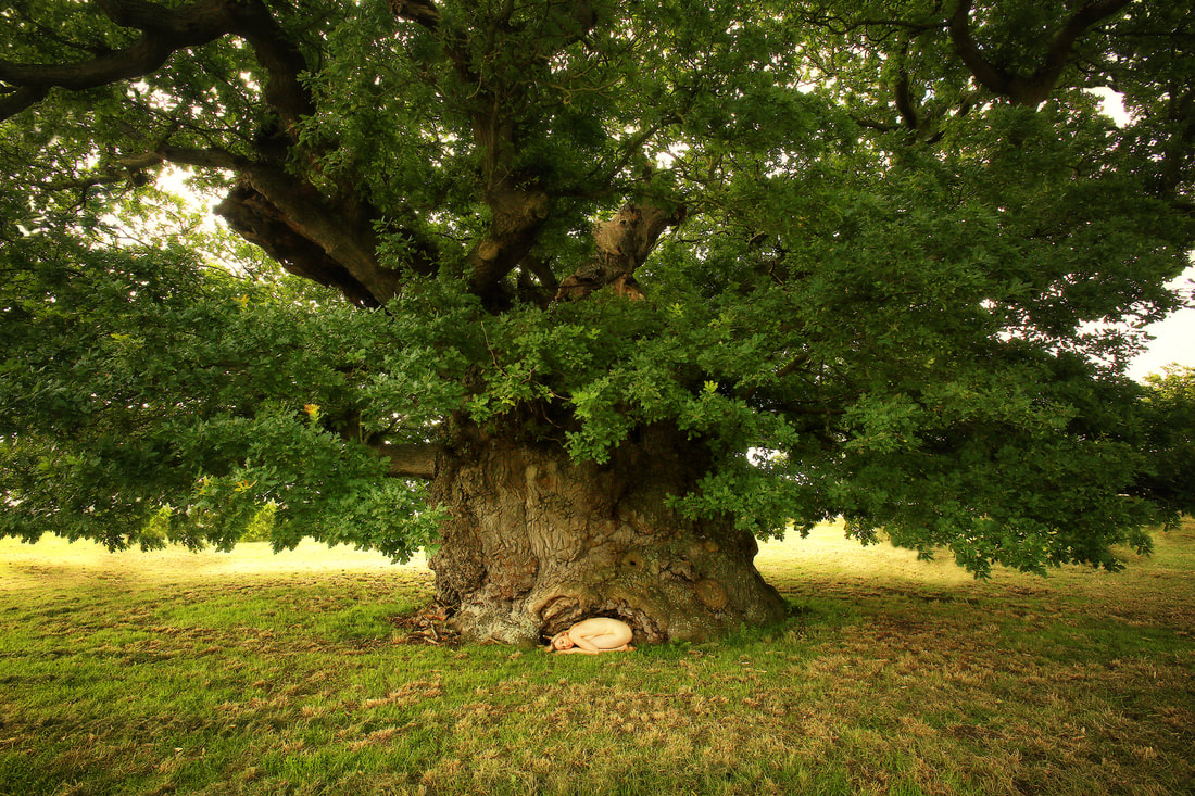 英語添削サービス tweet media